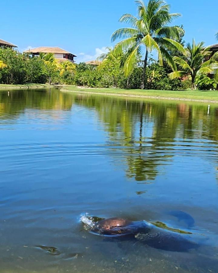 公寓 Village Dos Ipes Piscinas Naturais Praia do Forte